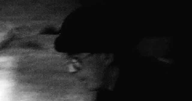 Weirdoe - HEADSHOTS - still6